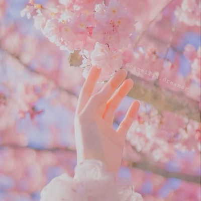 ばやん ばわぢい