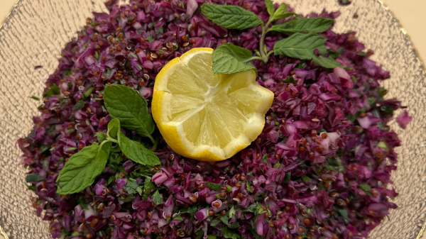 سلطة ملفوف احمر بالكينوا سلطة ملفوف احمر بالكينوا